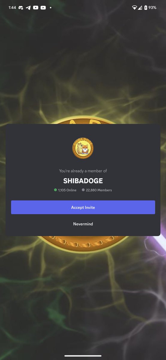 J Bartrug (@j_bartrug) on Twitter photo Whitelisting currently going on in the <a href="/RealShibaDoge/">Shiba Doge | Fan page</a> discord channel. Hurry before all the spots are taken the first 1000 whitelisted members get free #EFT mints! #shibadoge over here changing the game!
Discord: discord.gg/realshibadoge Whitelisting currently going on in the <a href="/RealShibaDoge/">Shiba Doge | Fan page</a> discord channel. Hurry before all the spots are taken the first 1000 whitelisted members get free #EFT mints! #shibadoge over here changing the game!
Discord: discord.gg/realshibadoge
