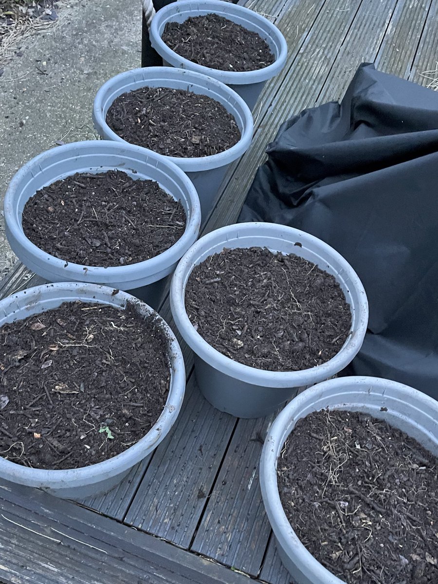 peterpeatfree's tweet photo. Pretty decent results from my Dalek bins 😉 @charlesdowding  worms and woodlouse been working hard #nationalcompostweek #GardeningTwitter https://t.co/jgzGqOUnf9