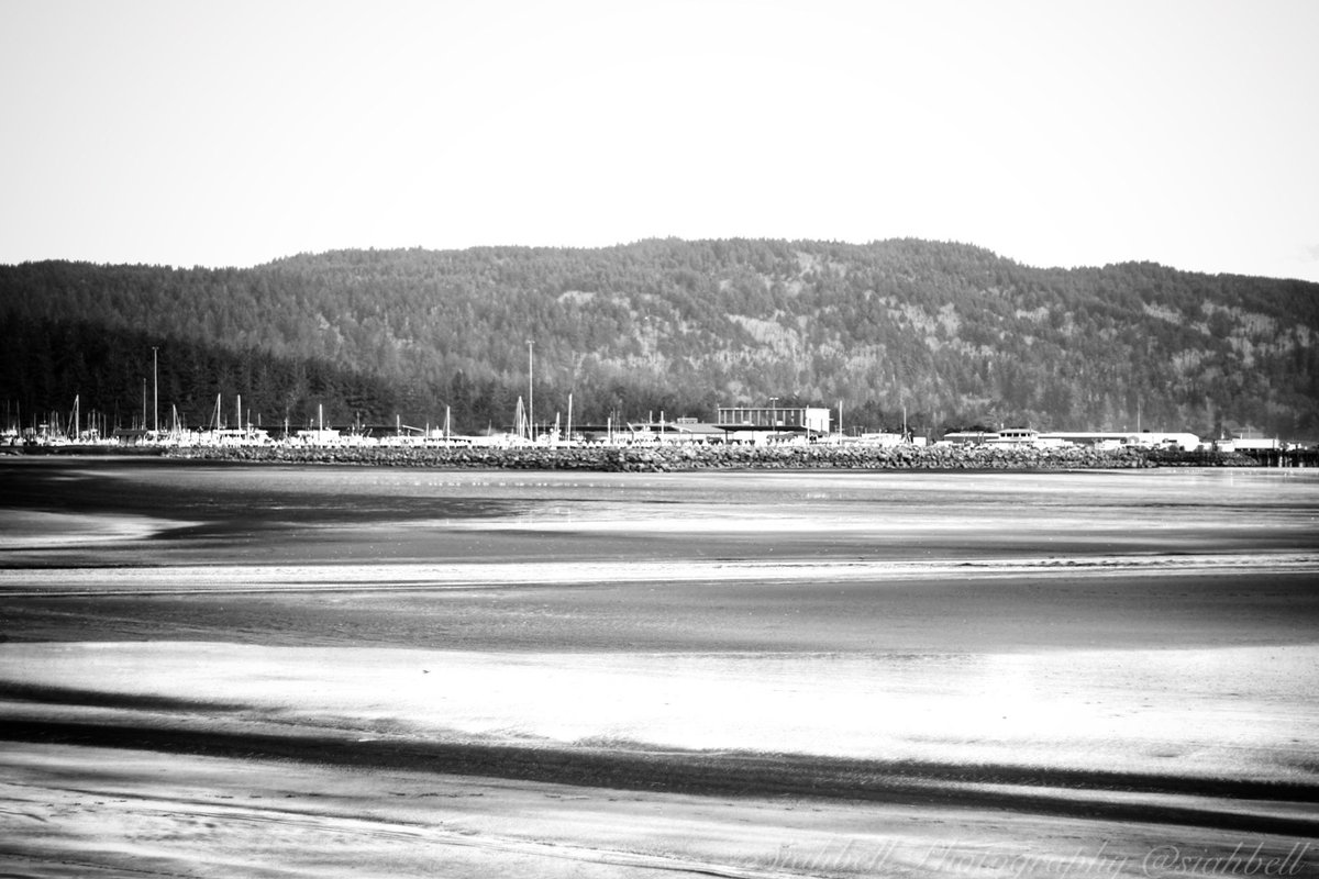 Siahbell's tweet photo. #pacificocean #ocean #landscape #bnw #bnwphotography #bnwphoto #monophotography #monophoto #oceanphotography #california #norcal #photography #naturephotography #canon #canonphoto #canonphotography https://t.co/S3ToaSYItq