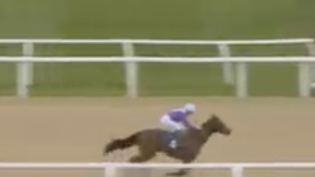 shugiehughie's tweet image. 3yo 7f Winner . Arabian Storm by Kingman x Arabian Queen ( Dubawi ) #Newcastke #AndrewBalding #DavidProbert . . Dam won the 2015 Juddmonte York beating Golden Horn . Winning colt a half brother to 2 winners by Frankel . #BredInThePurple #2000GuineasEntry