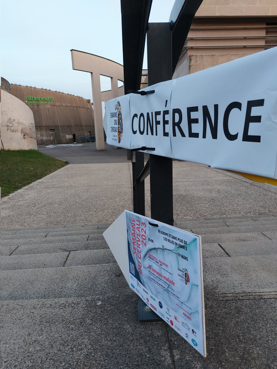 Semaine du Cerveau Dijon tweet media