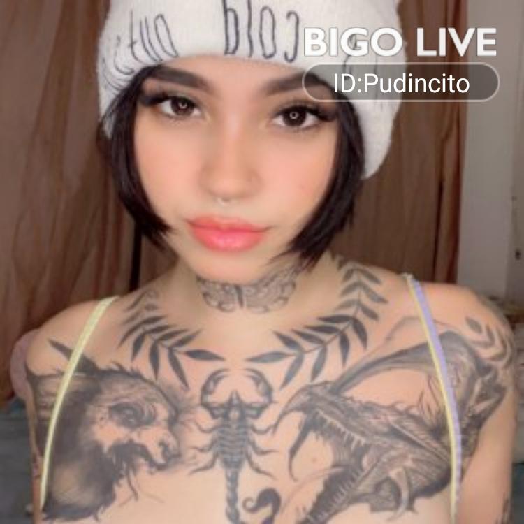 AMSOILDEALERCA's tweet photo. Come and see Pudincito exotic streaming live on #BIGOLIVE and make new friends!  https://t.co/bOSfYoeQhU https://t.co/wJ4Q98CzBg