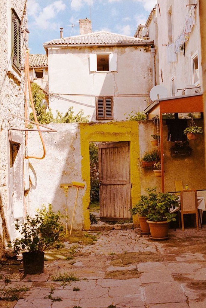 lightistic's tweet image. summer memories on film