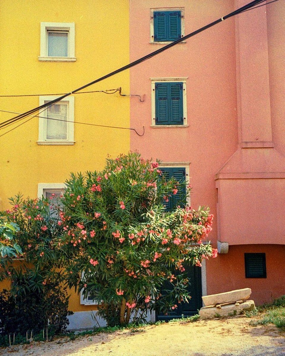 lightistic's tweet image. summer memories on film