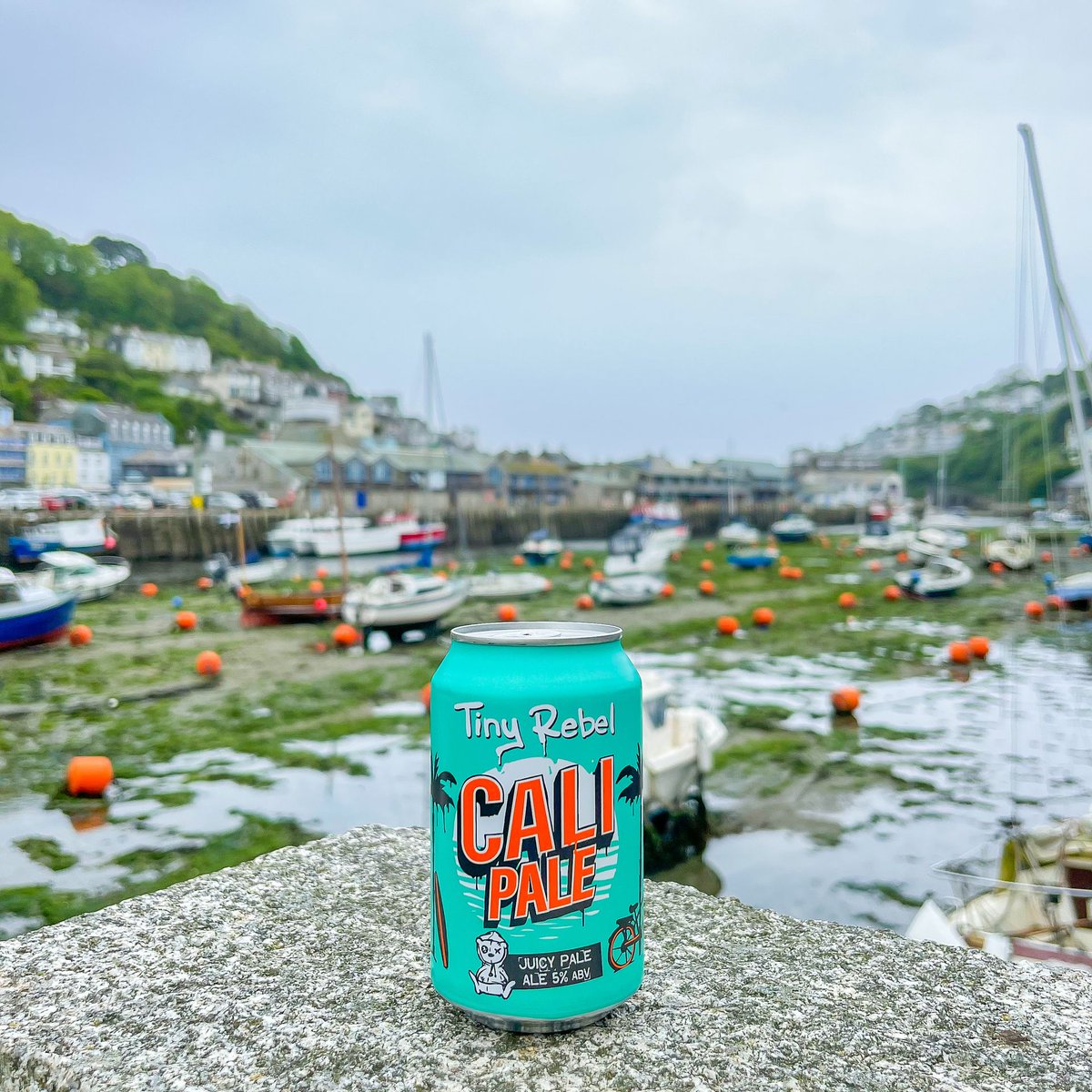 tinyrebelbrewco's tweet image. You can&apos;t beat a fresh can of Cali Pale 😍

Even better with the fresh sea air!