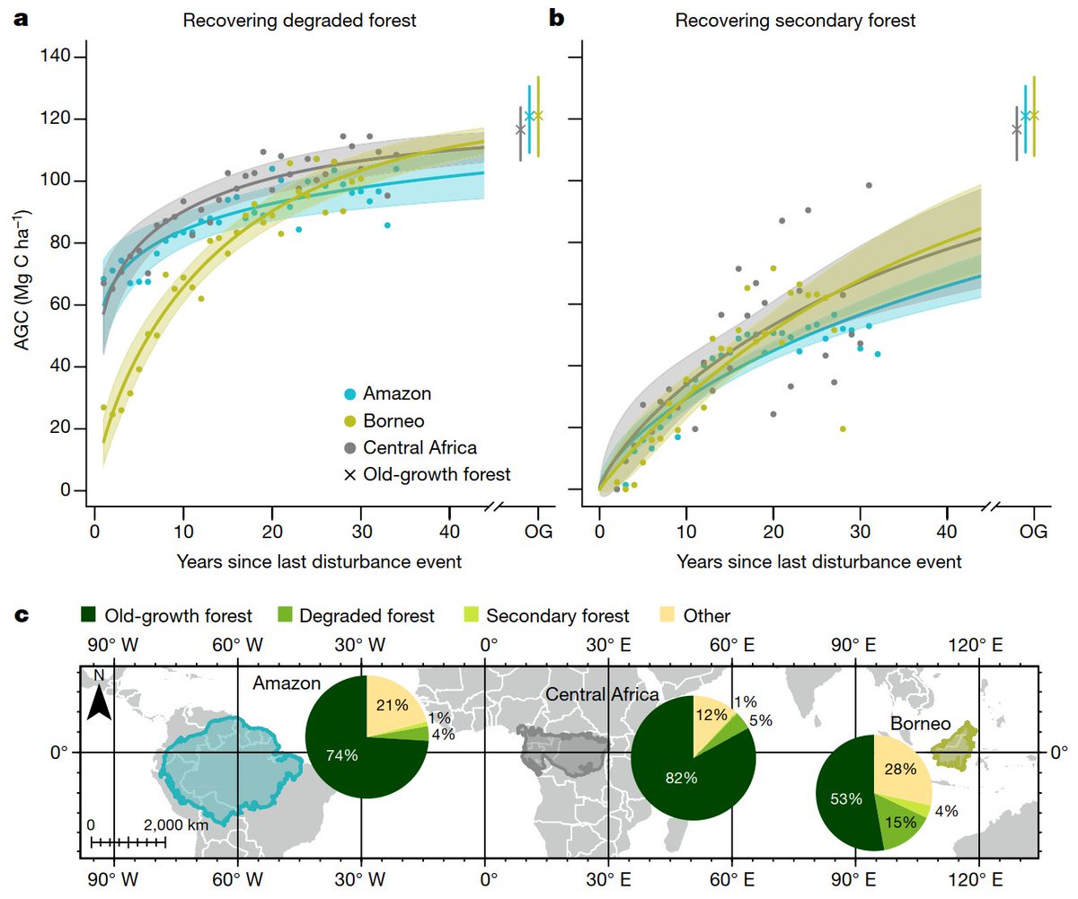 Ricardo Dalagnol tweet media