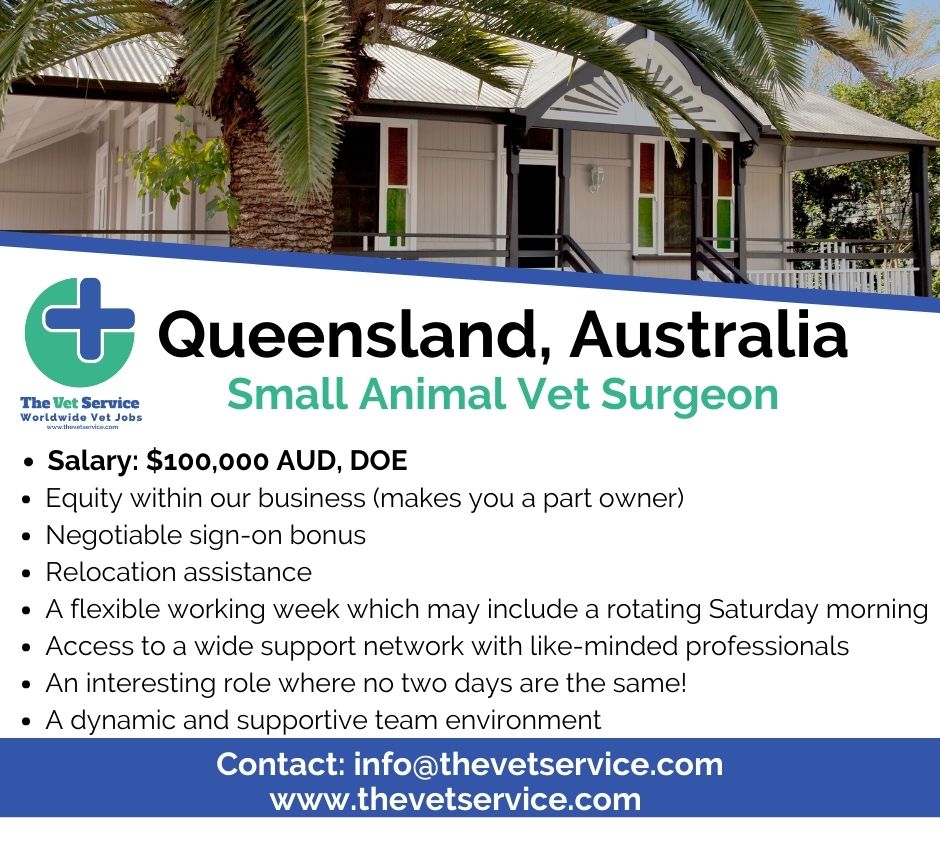 Great opportunity for a Small Animal Vet Surgeon in Queensland, Australia 🐶

thevetservice.com/vet-jobs-austr…

#thevetservice #vetstudents #vet #veterinarymedicine #veterinarysurgeon #vetlifestyle #vetlife #vetlocum #vetjob #vetjobs