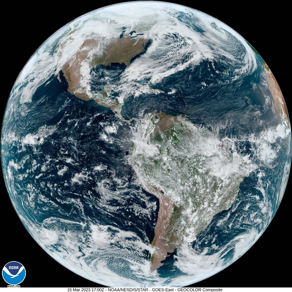 Earth Selfie Bot tweet media