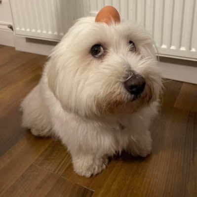 ark2nice's tweet photo. #NewProfilePic https://t.co/2V4nXJktkP