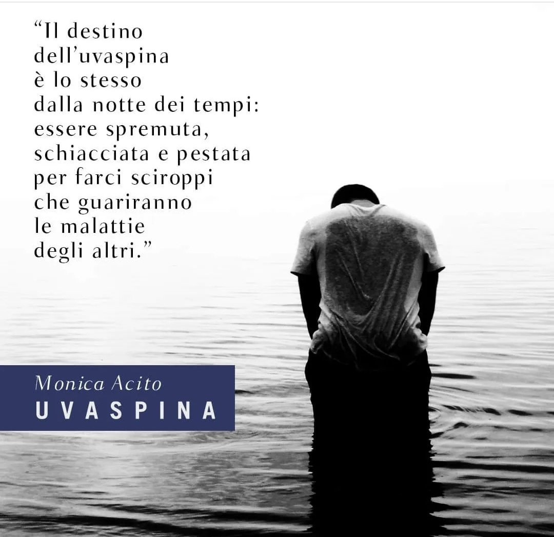 MrFox_86's tweet photo. Alla fine l'ho comprato (nonostante abbia ancora 2 libri in coda e uno che sto per finire).
#monicaacito #uvaspina #booksaddicted https://t.co/vfnbSGdXhZ
