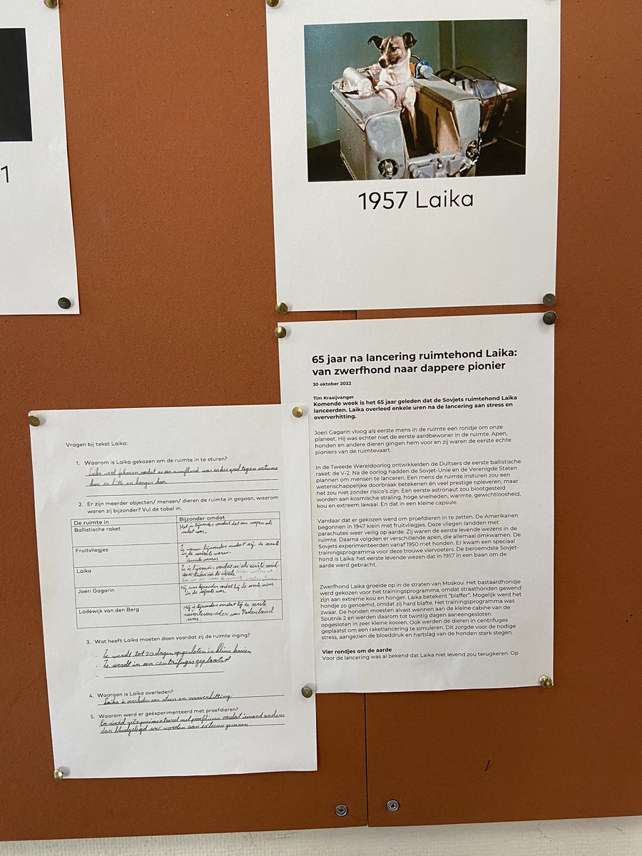 Ook lezen we teksten over de schijngestalten van de maan en Laika. Lln beantwoorden tekstgerichte vragen waarbij zij de tekst interpreteren en verbanden leggen tussen alinea’s. #dieplezen <a href="/Turingschool020/">Alan Turingschool020</a>