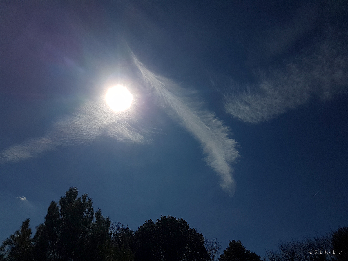 salutvilaro's tweet photo. #matí #núvols #formadelsnúvols #sol #formadeploma #meteorologia #meteorology #celblau #eltempstv3 @MeteoMauri @TomasMolinaB @meteocat
https://t.co/f3VdT23PQ8 https://t.co/lyeTmqZSE4