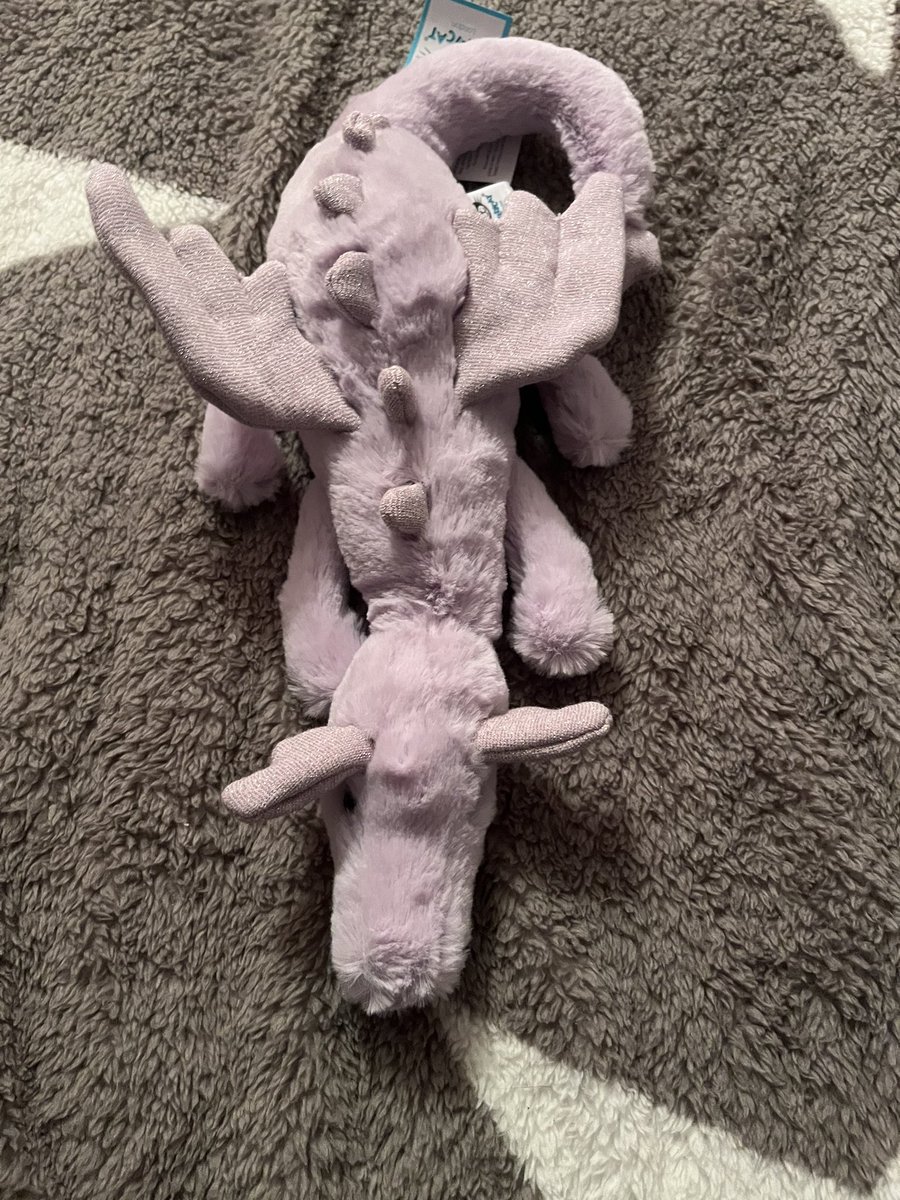 Izzzzy91's tweet photo. When the @CriticalRole merch arrives and then the mother gifts a little lavender dragon because itโs been a rough few days ๐ canโt wait to wear these to my dnd sessions ๐คฃ๐ #CriticalRole #hellobees #Dragon #DnD #dungeonsanddragons https://t.co/nrDH9vutsR