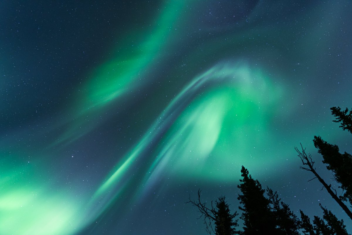 EBleicher's tweet photo. The best place to be is under the aurora 💫 https://t.co/vzm4M62KlE