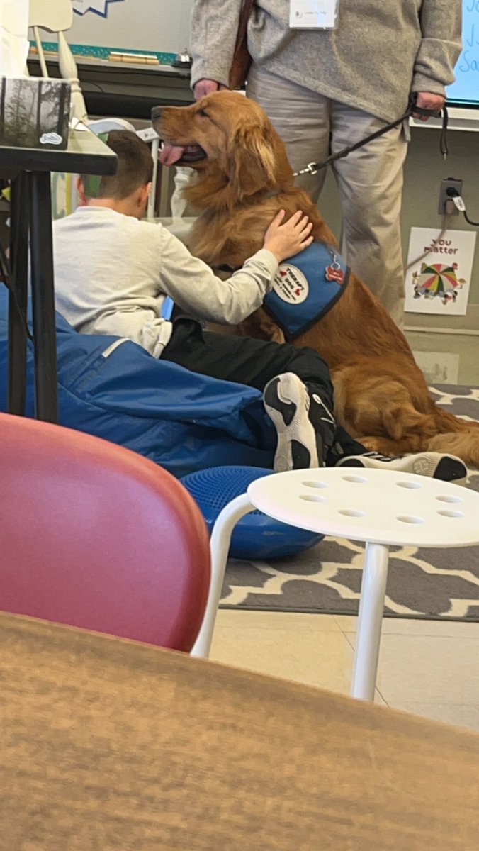 MrsFernandes4th's tweet photo. Tango loved listening to our perspective pieces today! @RobertHunterES @FlemRarSchools https://t.co/IIXHN6u0mK