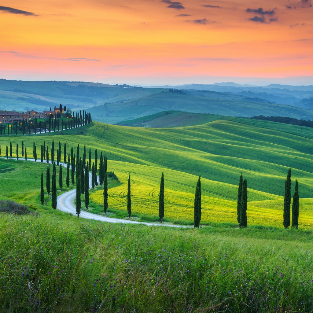 FioreTrees's tweet image. Beautiful designs just like an Italian hillside. Learn more about our #FioreTrees on our website. We're here to answer any questions! #fioretree #fiore #italy #italiann #hillside #beautiful