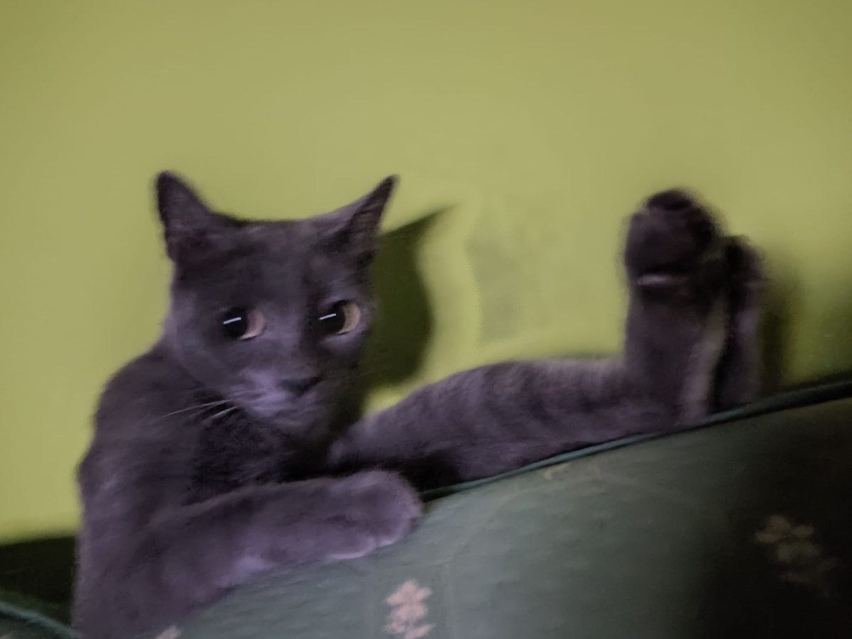 Cuando estoy viendo la novela y la cosa se pone buena