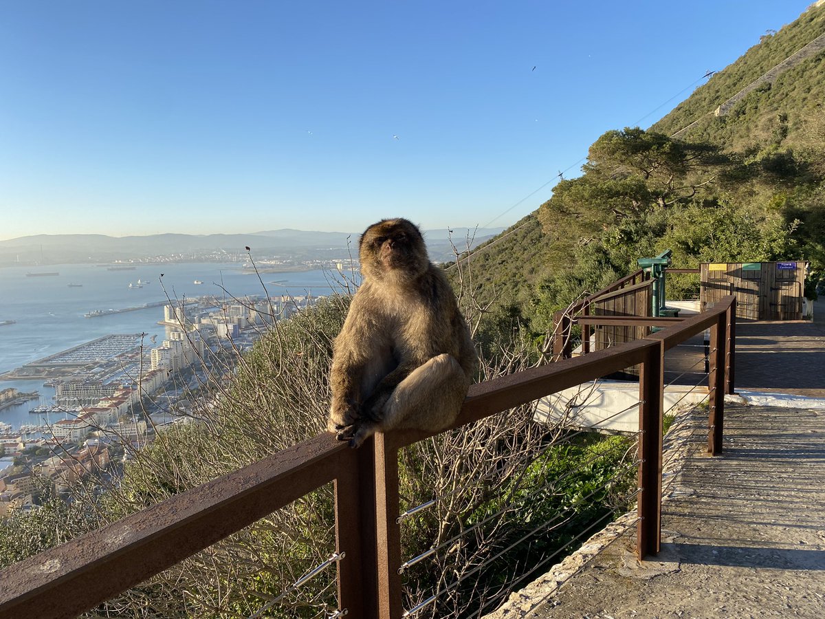 Paul Hayward tweet media