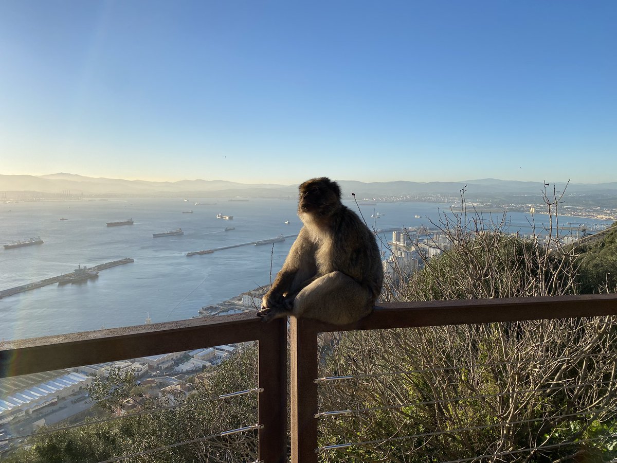 Paul Hayward tweet media