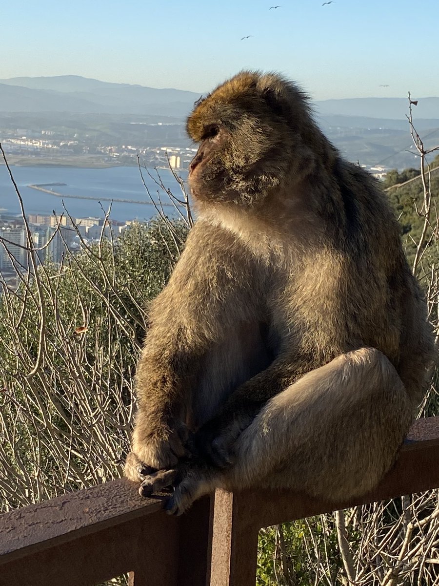 Paul Hayward tweet media