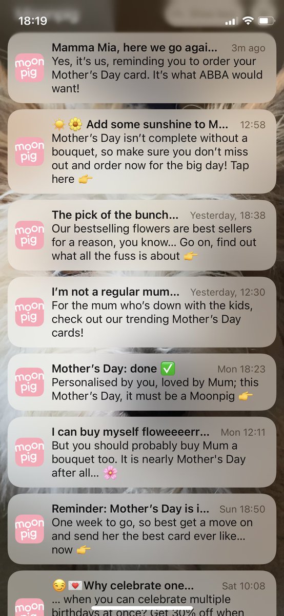 a_gardenshed's tweet photo. I thought it’s great that @MoonpigUK allow you to opt out of notifications for certain events such as mothers day.. Shame they completely ignore it every year! https://t.co/2XmpLv1kff