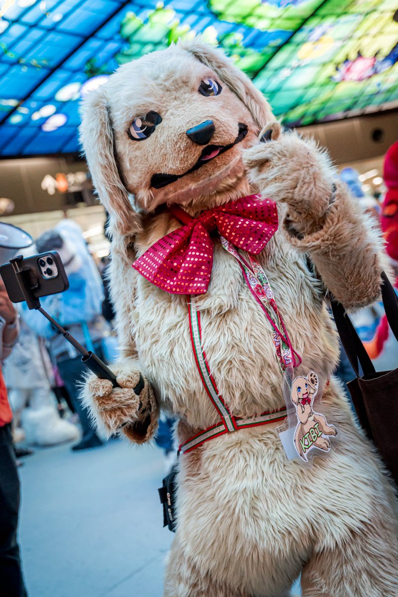 daisukechen_tw's tweet photo. Hope you enjoyed the party.

🐶 @dradrara
🐺 @hagu_hagu 

#Furryteaparty2023
#以茶會毛2023 #Fursuit #Tailshake #FursuitEveryday 
#Sony #A73 #Taiwan #Kaohsiung https://t.co/AS4OVisukW