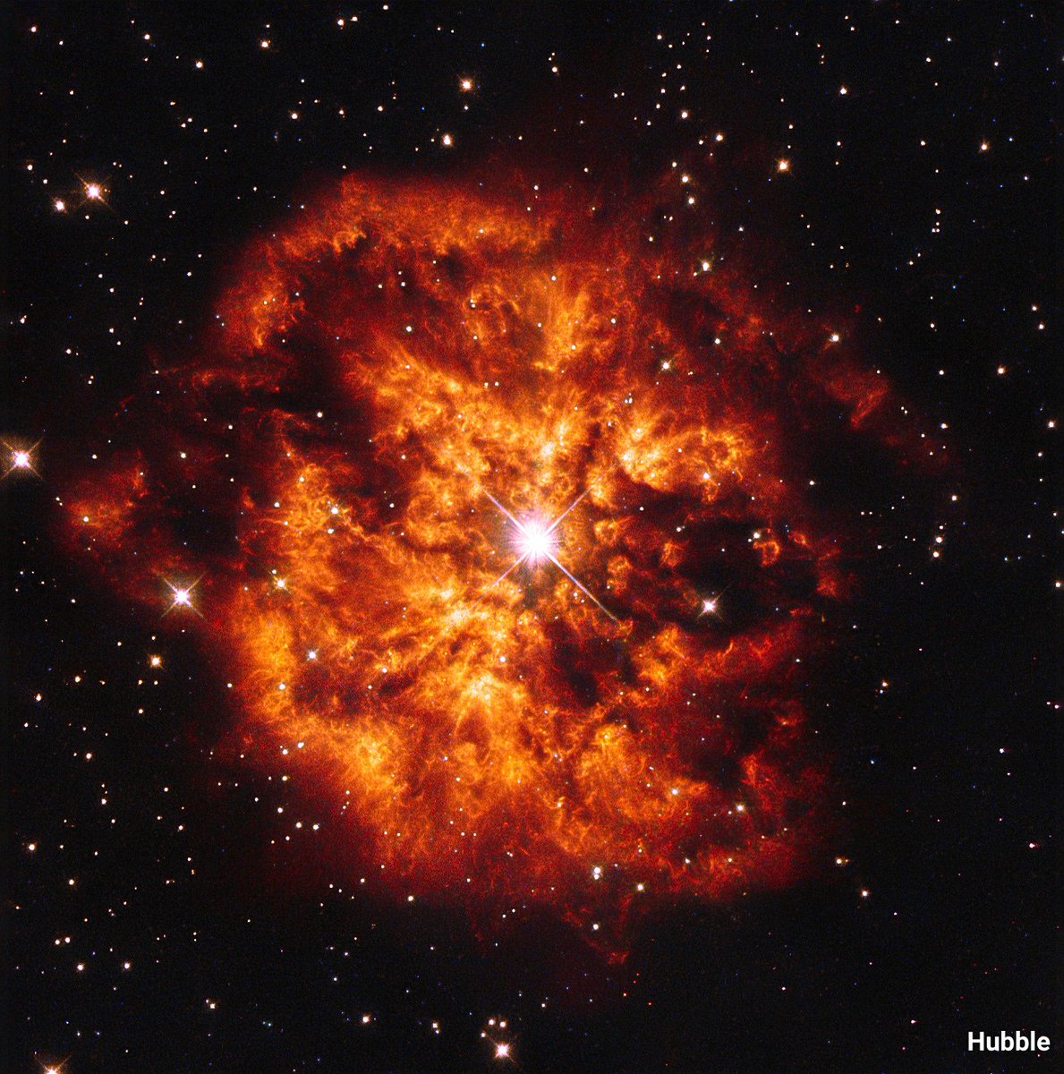 NASAHubble's tweet photo. Cosmic blooms! 🌸

These flower-like images from Hubble and @NASAWebb show the dying star Wolf-Rayet 124 as it casts off outer layers of material.

Wolf-Rayet stars are among the most luminous, massive, and briefly detectable stars known. https://t.co/MtAgdm0jr4