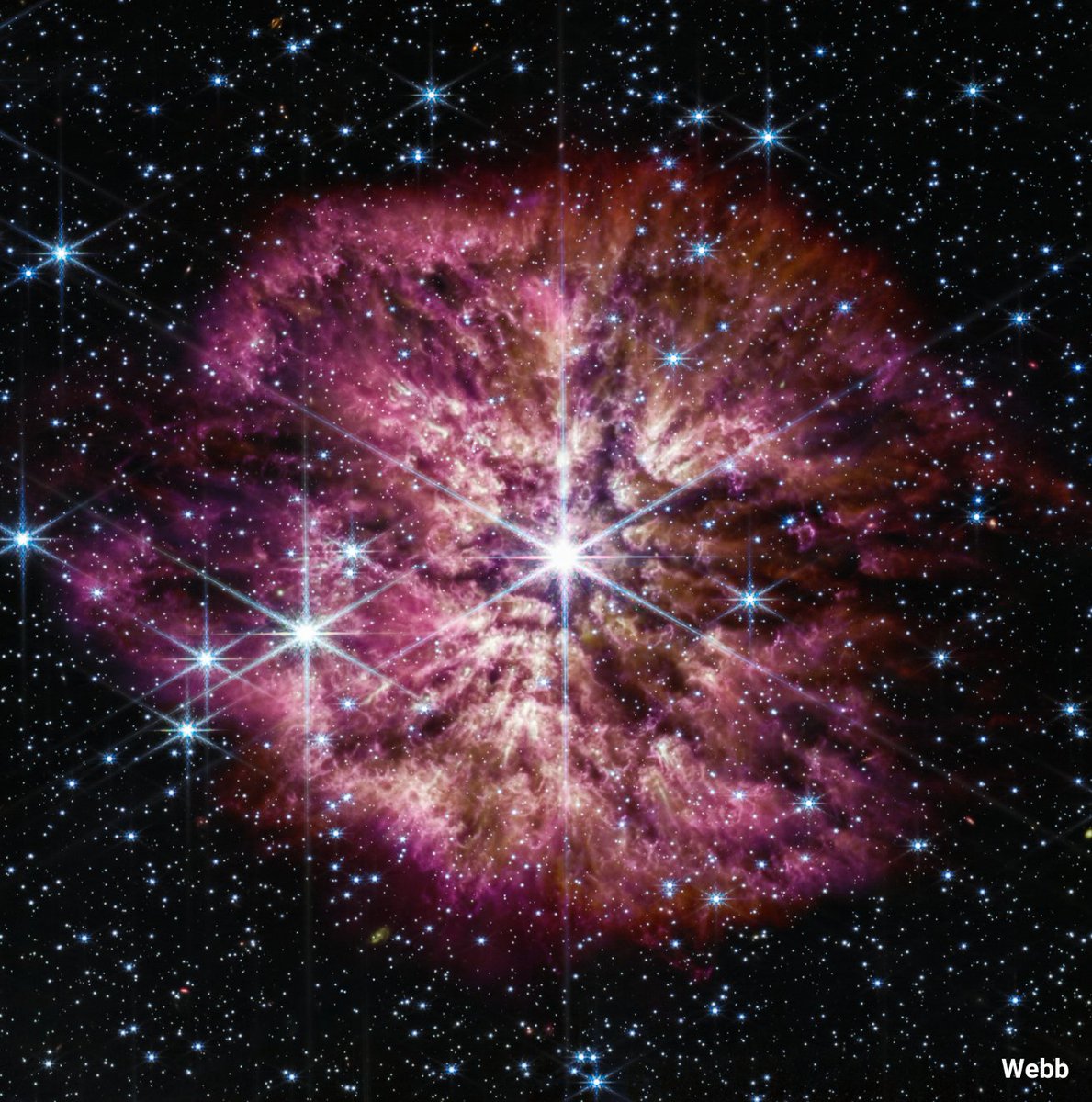 Cosmic blooms! 🌸

These flower-like images from Hubble and <a href="/NASAWebb/">NASA Webb Telescope</a> show the dying star Wolf-Rayet 124 as it casts off outer layers of material.

Wolf-Rayet stars are among the most luminous, massive, and briefly detectable stars known.