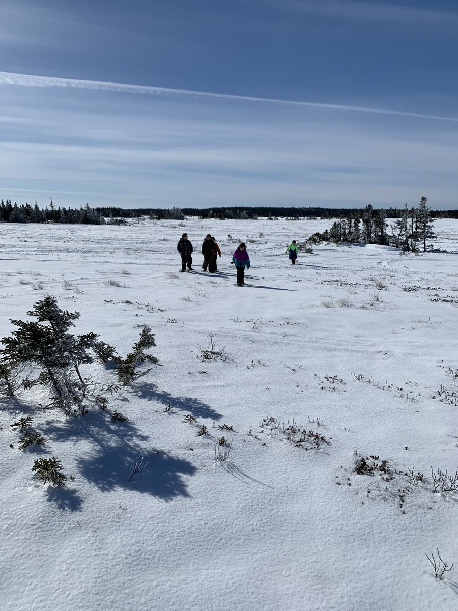 HuxterClass's tweet photo. On Mar 14, Mrs Goodyear's  4/5 class at Lumsden Academy took advantage of the sunny day and went for a boil up. #DartOutdoors @schoolsportsnl @NLESDCA https://t.co/konmSqAFWt