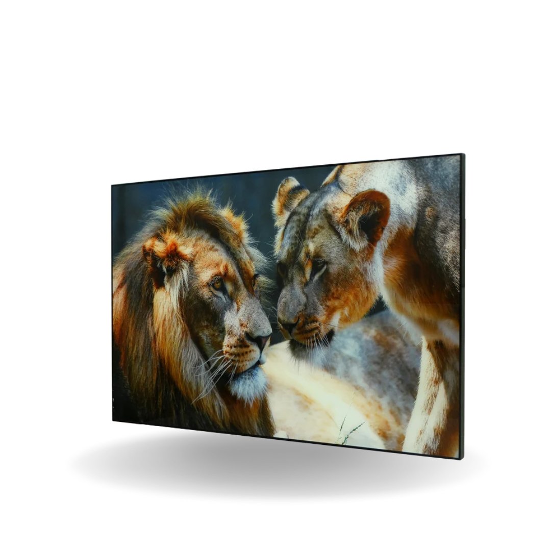Maxiestores's tweet photo. Bringing the beauty of nature indoors with these stunning wall art. ππΌ
Whatsapp us (876) 553-2950
AVAILABLE ONLY: ππ΄πππ
ππππππ, π΄ππ π·ππ, π·πππππππ, πΊππππ πͺπππ
.
.
#Maxie #Maxiestores #MaxieDepartmentStore #Home #Homedecor #Decor #Interiordesign https://t.co/N6MiPyar7F