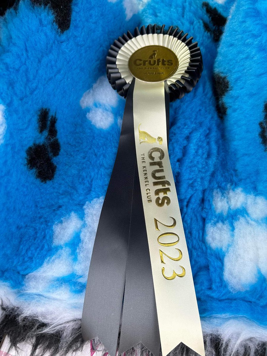 Do you like my #crufts2023 rosette