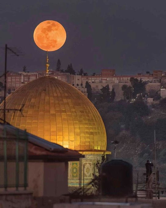 arab11__'s tweet photo. Jerusalem, Palestine https://t.co/yNpsYQqt8N