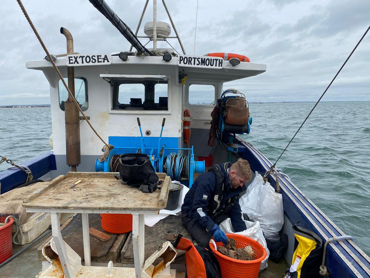 SouthernIFCA's tweet photo. Officers have been out on #FisheriesPatrol conducting boarding operations in the #Solent checking compliance with: 
📏 MCRS (110mm in VIId)
🔗 Gear Restrictions
⏰ Curfew (06:00-18:00 in the Solent); and 
📃 Permit Conditions. https://t.co/vR81OOtcFZ