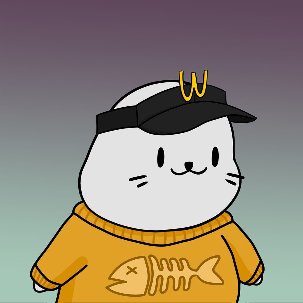 0xFroyo (🍦,👾) tweet media