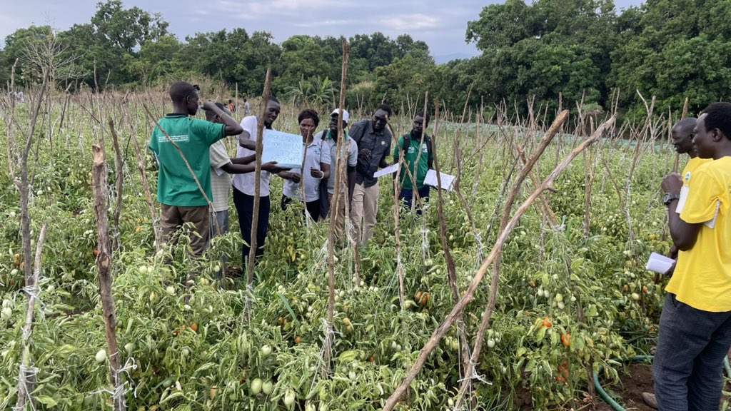 fobita's tweet photo. Every journey must start with proper planning. @FondazioneAVSI's #RURALSS project team holed up in Torit from 7th-15th March for a planning &amp; training retreat to roll out the 2023 cycle. As you can see we are ready to engage the last mile.
#AESA
#FAAB
#CSA 
#BackyardGardening https://t.co/DRzm9qzuln