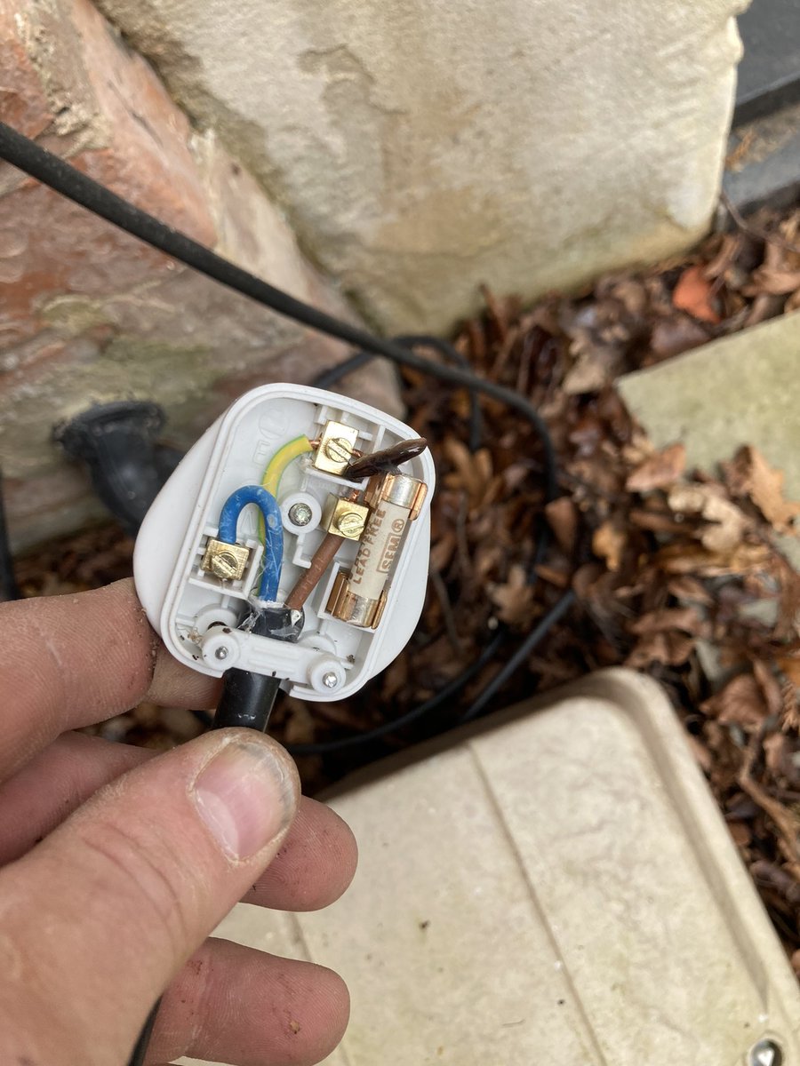 brad_electrical's tweet photo. Trying to keep warm were we 🐌 🔥 https://t.co/b6xqUw3vMj