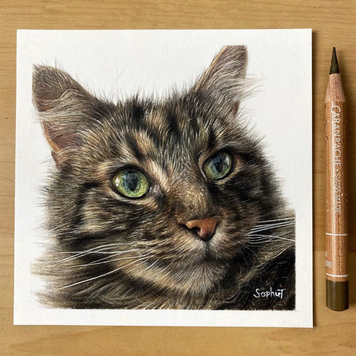 SophieEllaArt's tweet photo. A 4x4 portrait I recently completed of a cat called Tom 💙 These mini drawings are some of my favourite to do as I like the challenge of seeing how much detail I can include! #petportrait #catportrait #greeneyes #giftideas #CatsOfTwitter #petportraits #realism #artistsontwitter https://t.co/X1g1HfJgh4