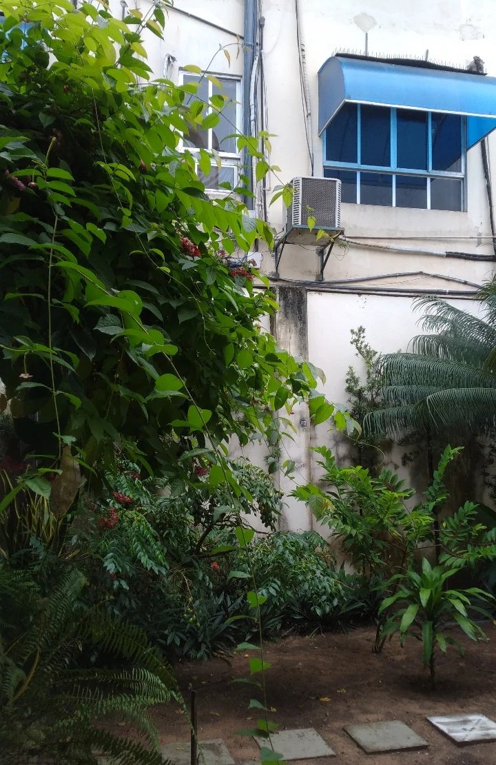 A "possível" se tornou real.