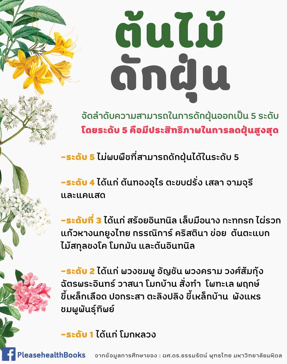 thidakarn's tweet photo. นอกจากการปิดหน้าต่าง เปิดเครื่องกรองอากาศแล้ว การปลุกต้���ไม้ดักฝุ่นรอบบ้าน เป็นกำแพงดักฝุ่นหนึ่งชั้น ก็มีส่วนช่วยได้ เอาผลการทดสอบประสิทธิภาพการดักฝุ่นมาฝากค่ะ #ฝุ่นPM25 https://t.co/AV2pRjFWML