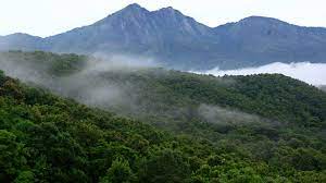 TheTravelius's tweet photo. Quiet Valley National Park In Kerala: Where The Wild Roam Free https://t.co/nuB7meqC0C https://t.co/GvZOgfdkaL