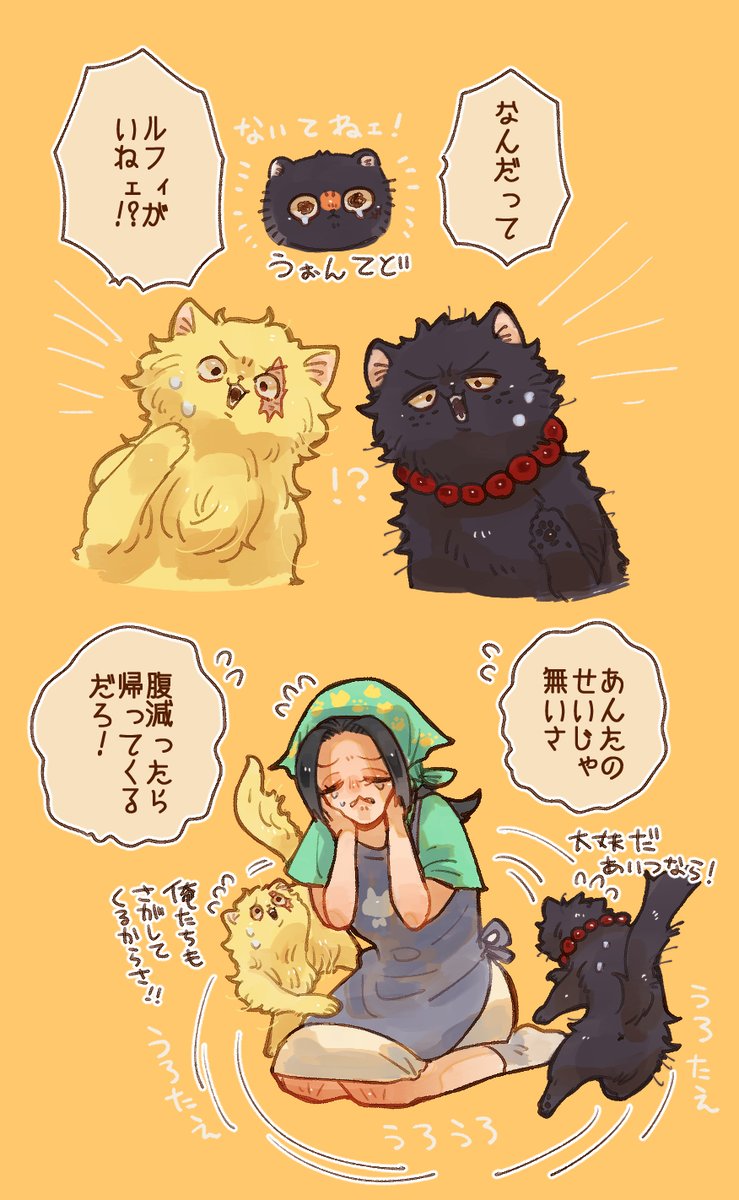 一方その頃🐱 