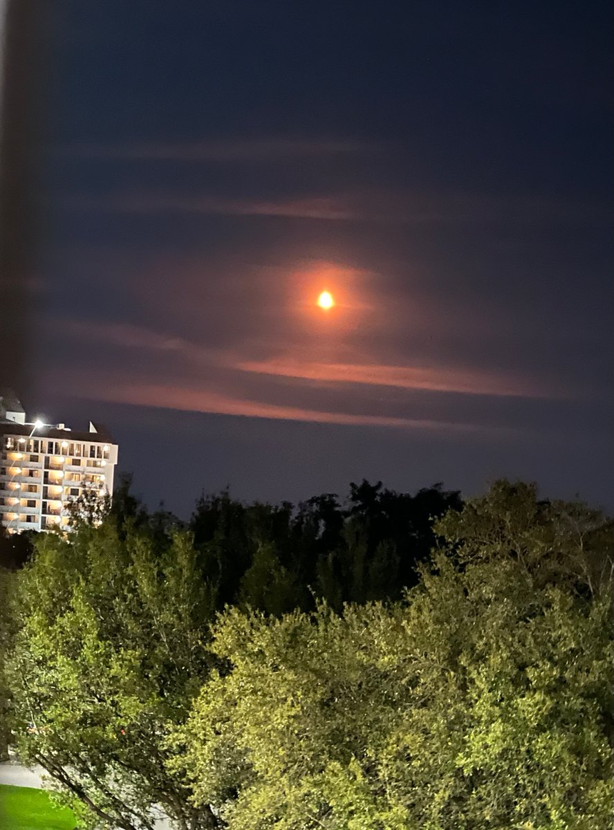 The 2023 Lean Six Sigma World Conference is off to a great start with a <a href="/SpaceX/">SpaceX</a>  launch. Thanks to
Bonnie K Stone, MBB, PMP and Don Johnston for their knowledgeable commentary!