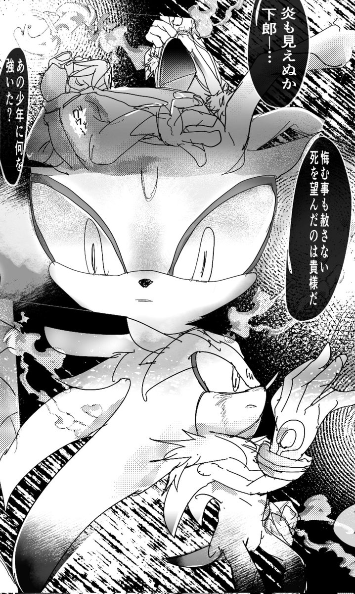 Eggman Nega + Blaze + Silver
謎脈絡ネガとシルブレ
#Silvaze 