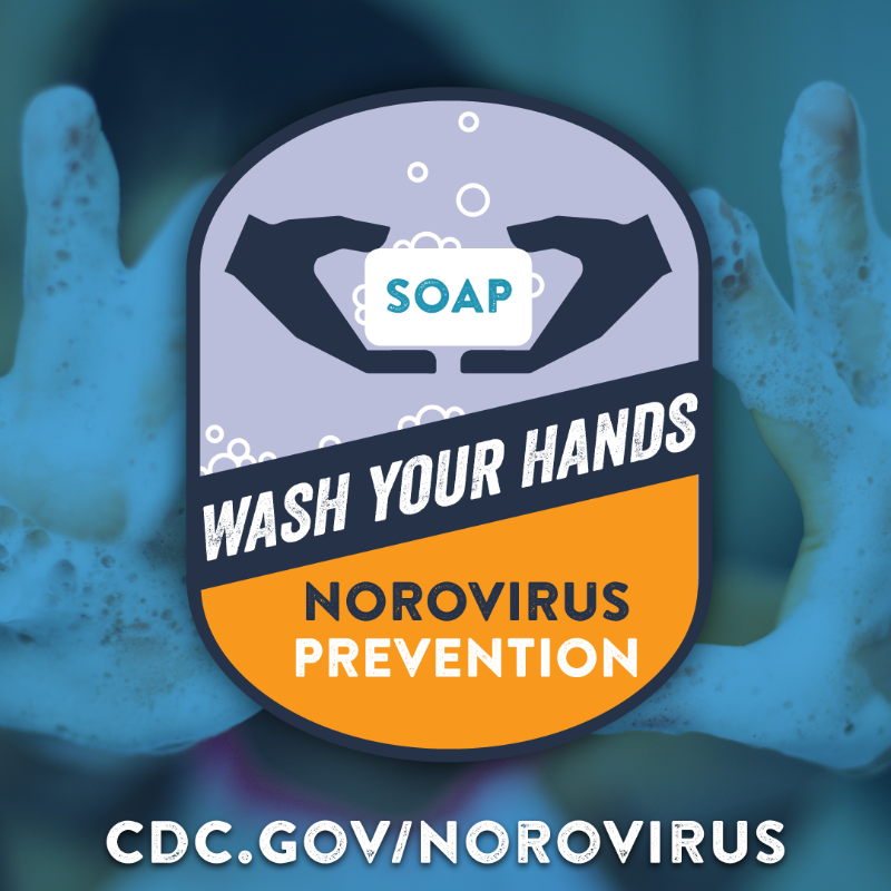 CDCgov's tweet photo. What should NOT be part of your family plans this spring break? Diarrhea &amp; vomiting from #norovirus. 
Protect yourself and your family from getting this “stomach bug” by washing your hands thoroughly with soap and water often &amp; following other simple tips: https://t.co/CjpIBenRwC