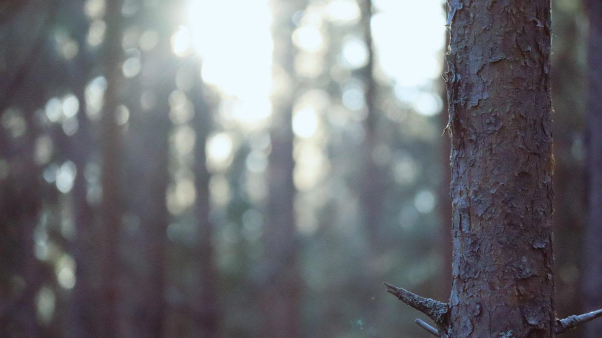 Tukinet Net tweet media