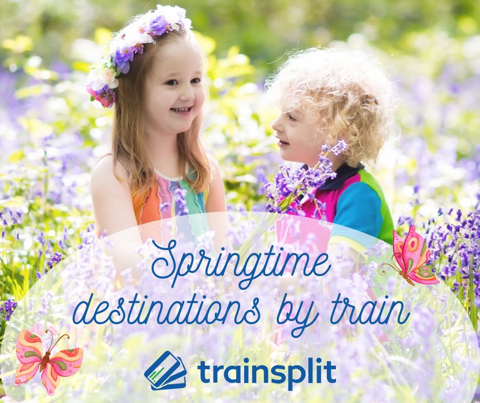TrainSplit's tweet image. 🌸 Spring is here and it's time to start planning your next getaway! 🌼 Take a scenic train journey to stunning destinations with Trainsplit and save money with split tickets. 🚂 Book now for an unforgettable springtime adventure! 🌷 #traintickets #Trainsplit #splittickets