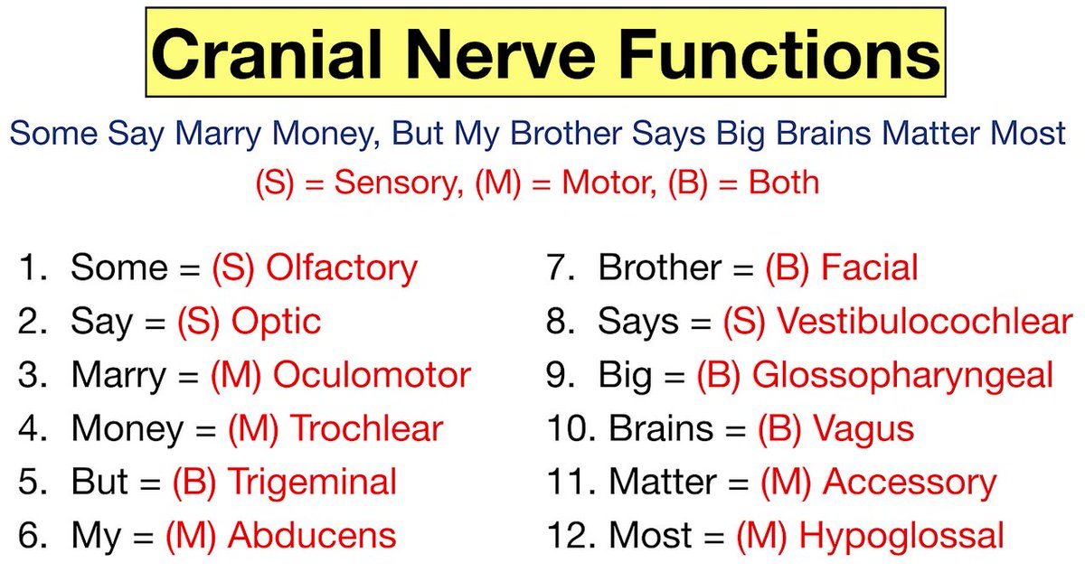 Cranial Nerves: Sensory, Motor or Both. --> "Some Say Marry Money, But My Brother Says Big Brain Matter Most" (S=Sensory, M=Motor, B=Both)