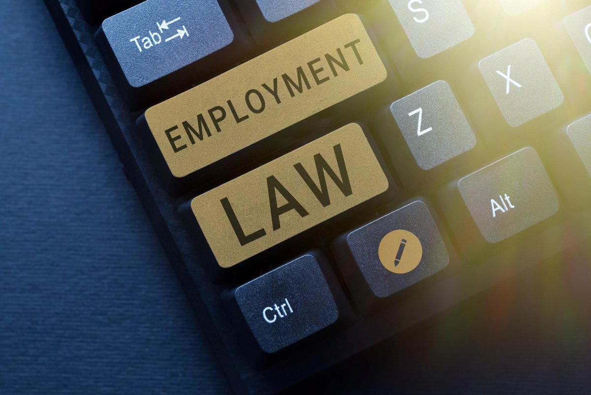 Do you want to understand your legal rights and obligations better? Uncover the key principles of labor and employment law in Florida with the help of our lawyers at Levin Litigation. levinlitigation.com #labourlaw #legalrights #employmentlawflorida #levinlitigation