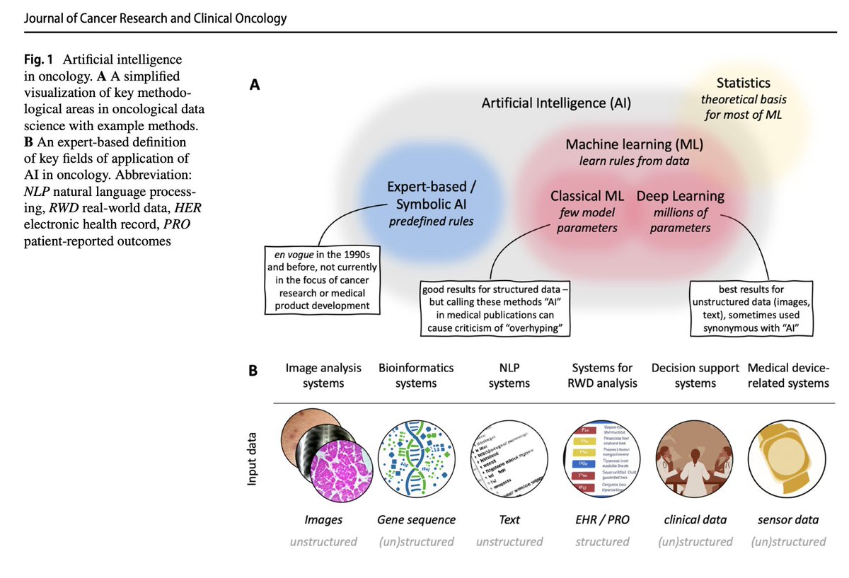jnkath's tweet photo. Very happy to share this: We teamed up with 3 professional societies in 🇩🇪 (@dgho_eV, @gmdsEV, @informatikradar) and put together "an overview and a roadmap for #AI in hematology and oncology"  https://t.co/URST2P7TPn &amp; https://t.co/61fTTJVId9 @ottoadelheid @NCT_UCC_DD @NCT_HD https://t.co/AFXmb85SuZ