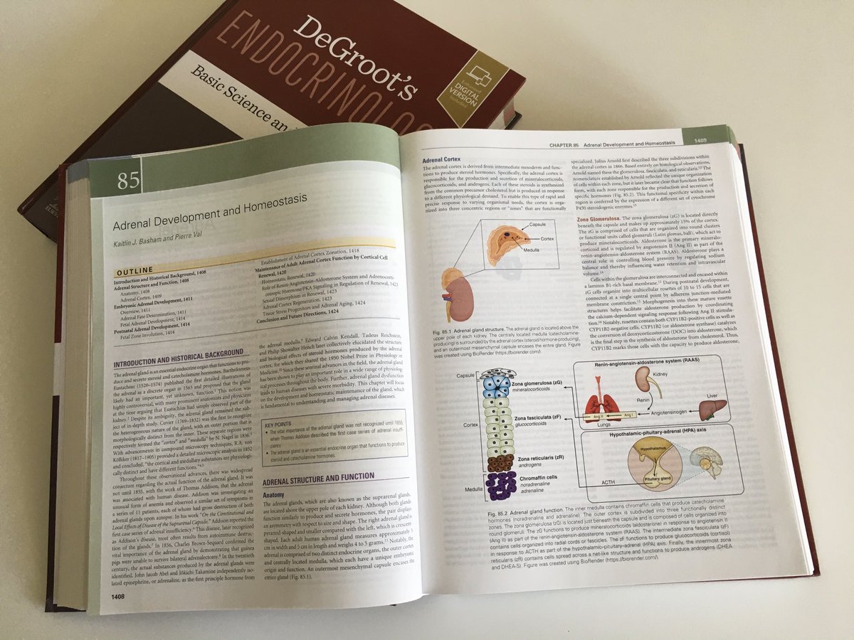 VAL Pierre tweet media